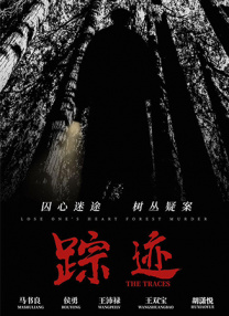 视频在线一区二区